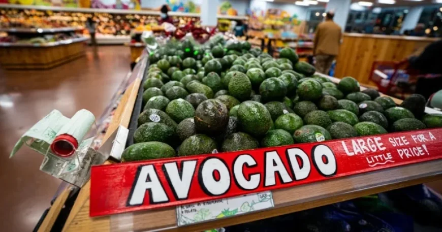 CPI Climbs 2.7% in December, Highlighting Persistent Inflation