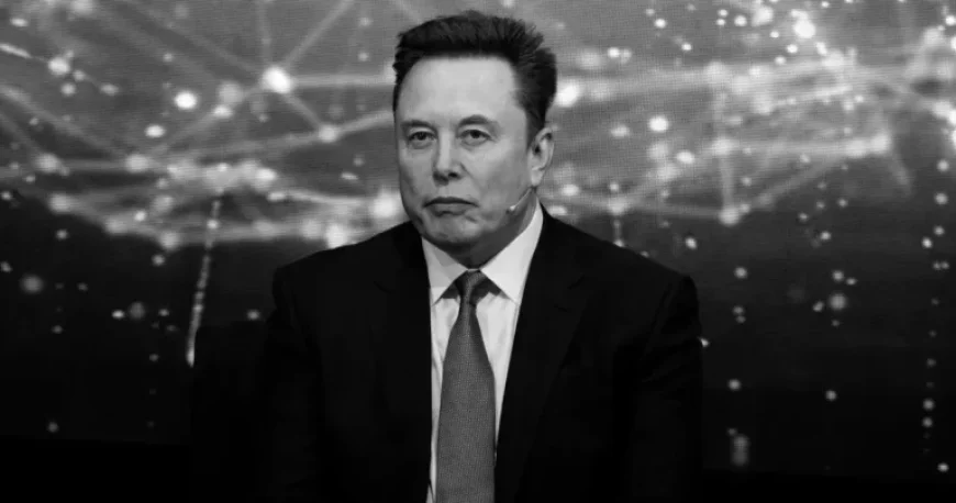 Elon Musk Seeks Custody of Ashley St. Clair’s Child
