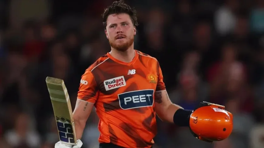 Kiwi Star Finn Allen Smashes 51-Ball Century in BBL Thriller Live