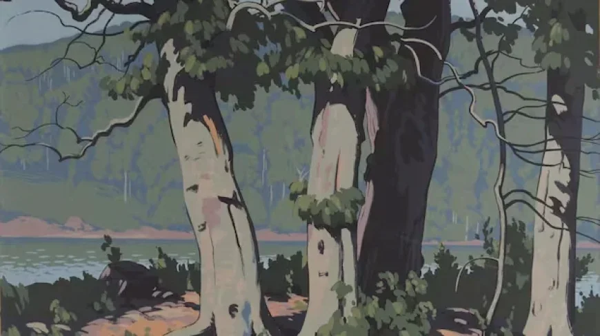 Ontario School Board Cites Secrecy to Conceal $34K Fine Art Records