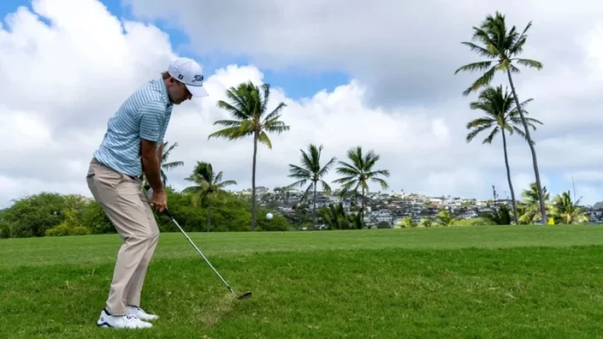 Betting Guide for Sony Open Hawai’i: Top Picks and DFS Strategies