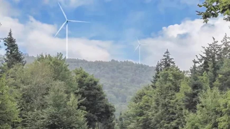 Major Industry Plans to Exit N.B. Power Grid