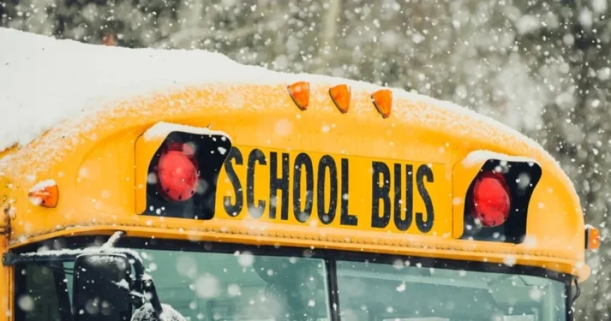 Illinois School Bus Crash: 1 Dead, 11 Injured