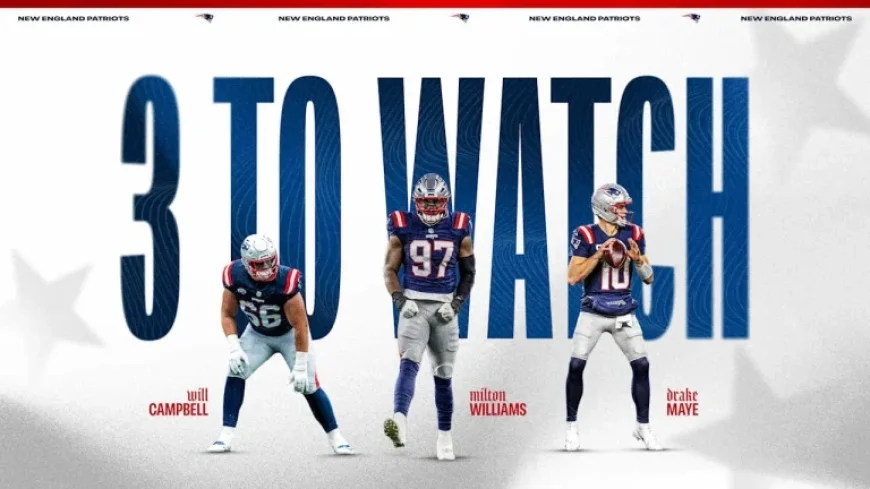 Patriots vs. Texans: Top Matchups in Divisional Round Playoff Battle