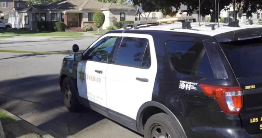 17-Year-Old Girl Among Three Fatally Shot in Lakewood; Woman Detained