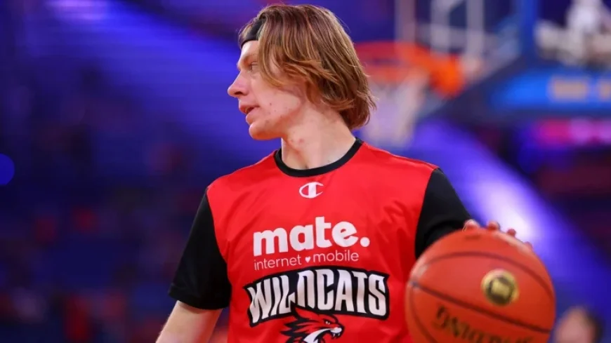 Young Wildcat Successfully Undergoes Surgery