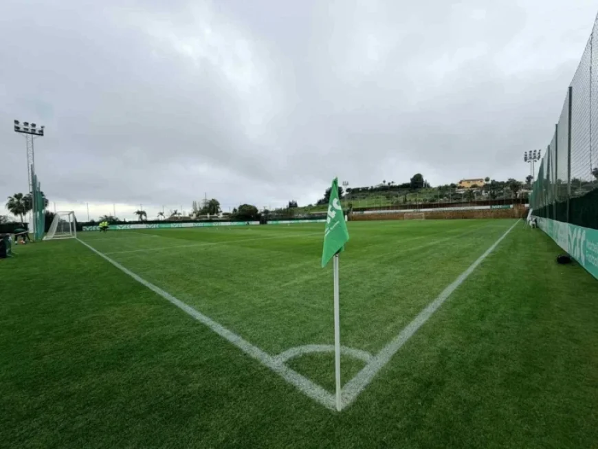 Sigma Olomouc vs. Legia Warsaw: Live Match Updates