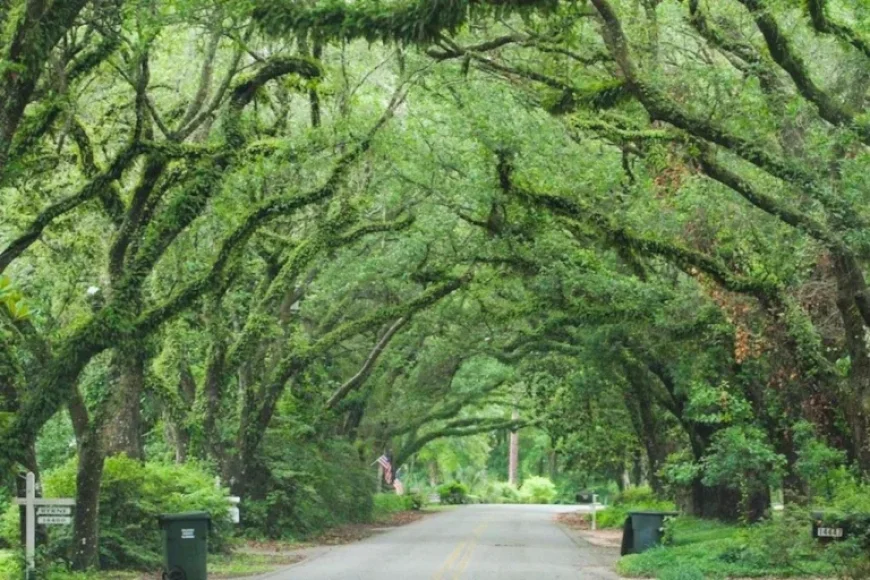 Discover 12 Must-Visit Alabama Towns in 2026: One for Each Month