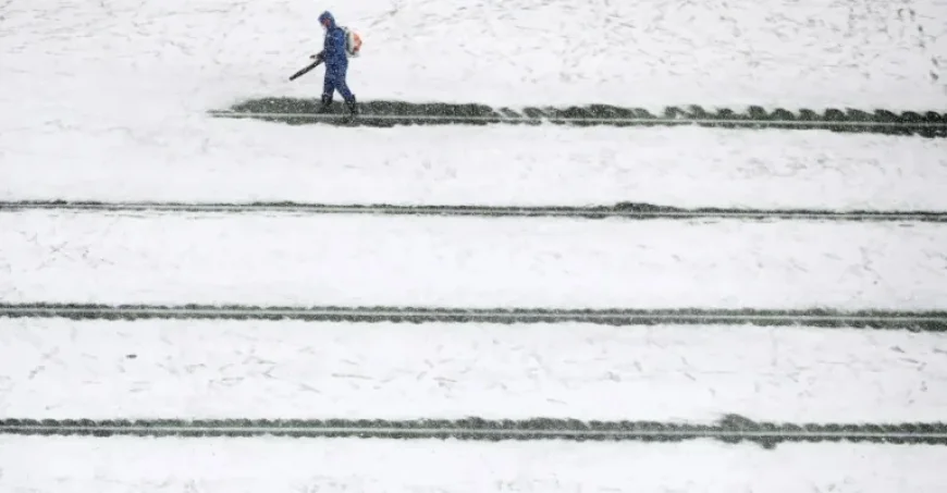 NFL Divisional Playoffs: Patriots vs. Texans Weather Forecast