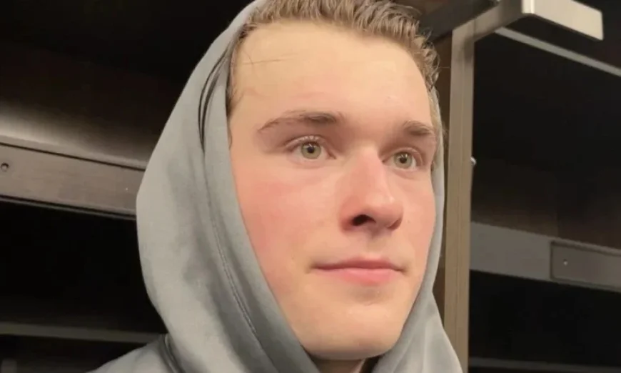 San Jose Sharks Poised for Playoff Return