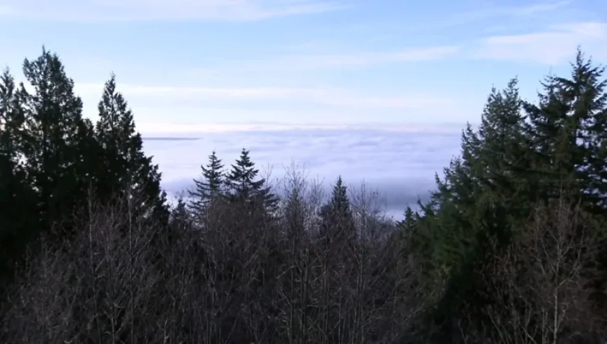 Man Dies at Cypress Mountain Resort, Confirm West Vancouver Police