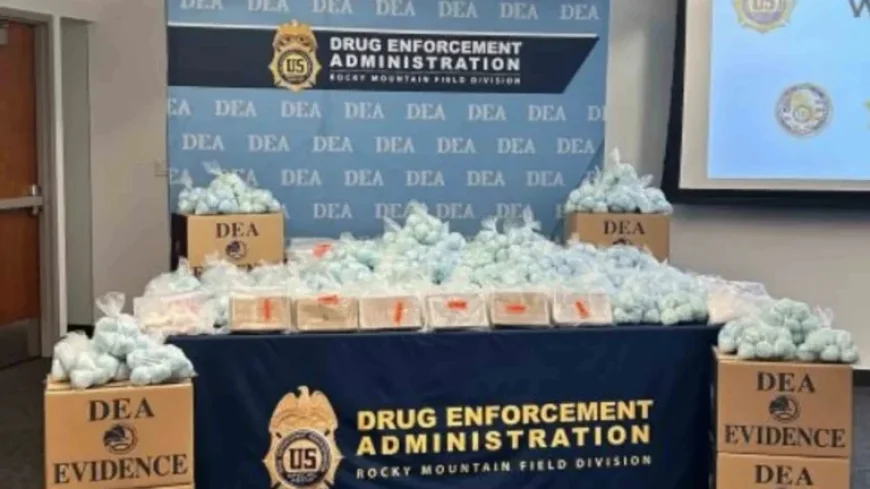 Wyoming Fentanyl Seizures Surge 264%, Linked to Two Mexican Cartels