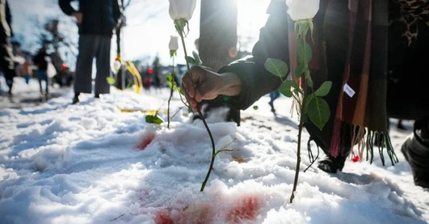 How ICE Operates with Legal Immunity