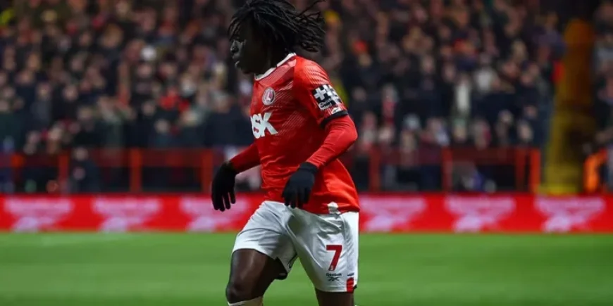 Sheffield United: Comprehensive Valley Review Edition