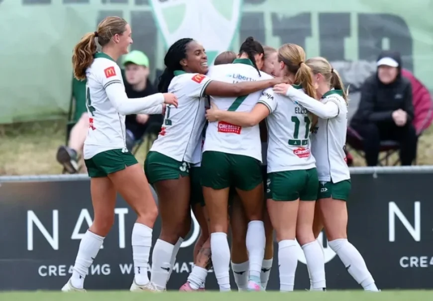 Ninja A-League Round 13: In-Depth Match Review