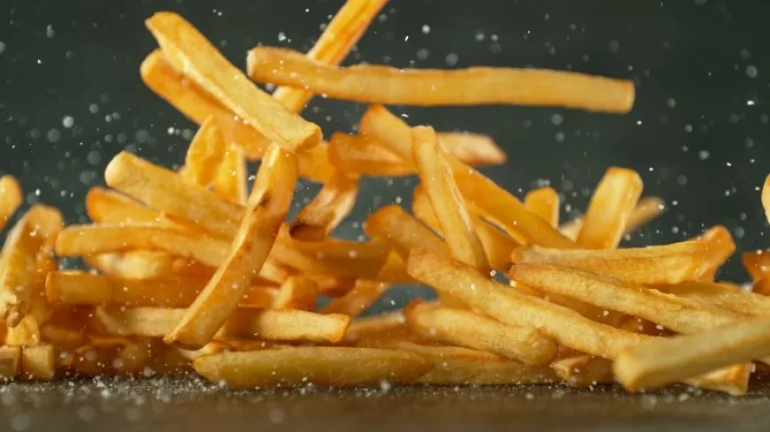 Discover the Top-Rated French Fries Across Every US State