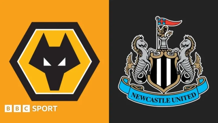 Wolverhampton Battles Newcastle United: Premier League Clash