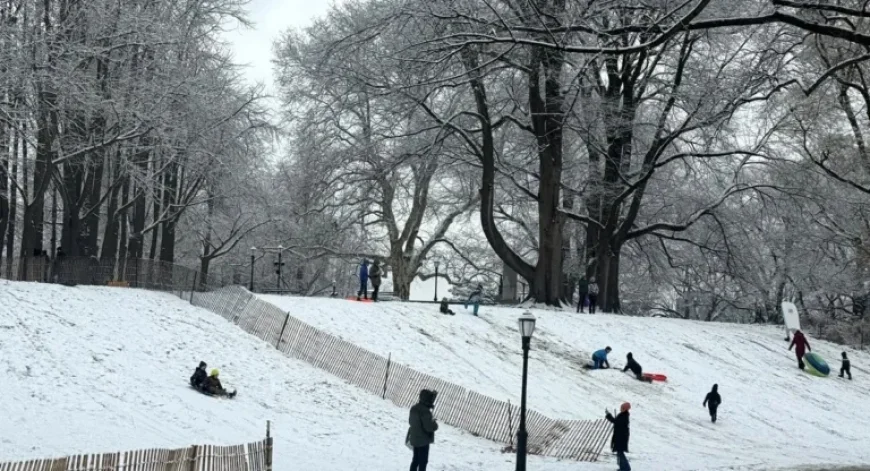 NYC to Experience Light Snow, Heavy Accumulation Expected Sunday