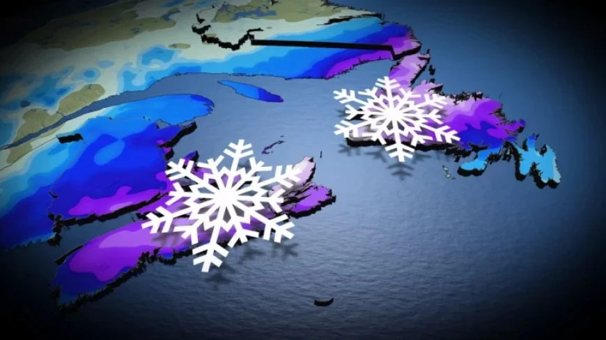 Coastal Storm Dumps Up to 30 cm of Snow in Eastern Region