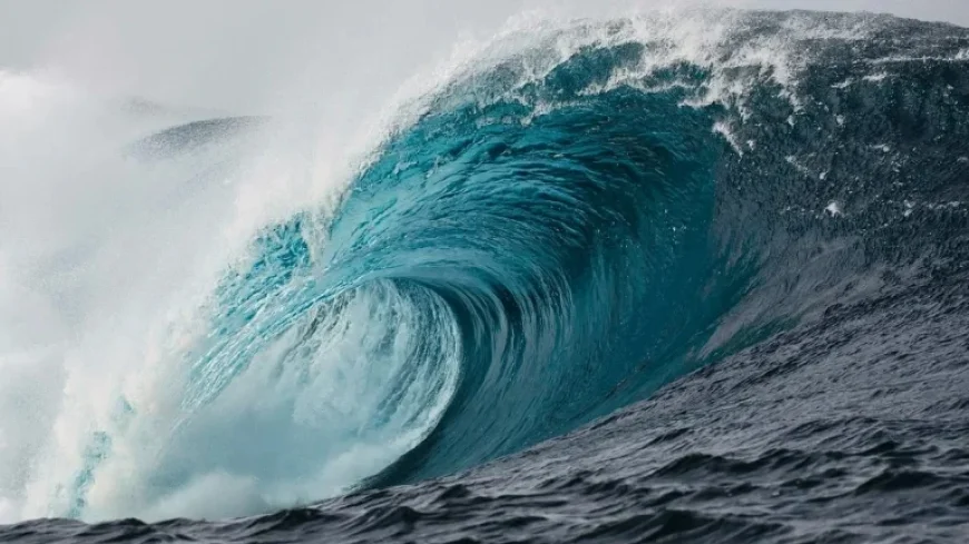 China’s Trade Surplus Explored: Part III