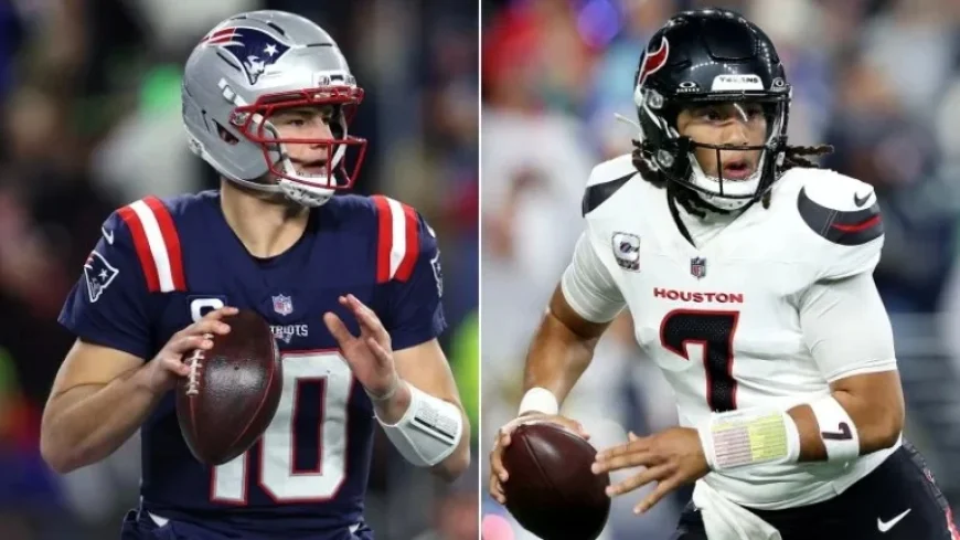 Patriots Host Texans, Rams Battle Bears as NFL Playoffs Near Final Four