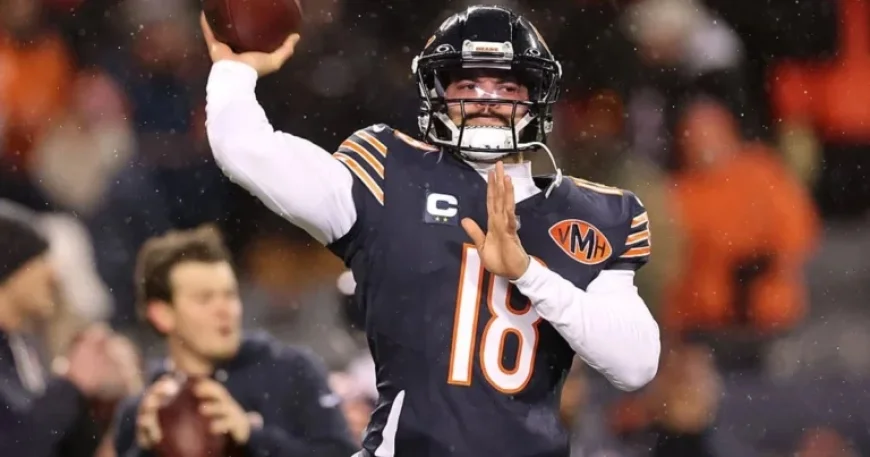 Rams vs. Bears: Live NFL Playoff Updates, Predictions, and Odds