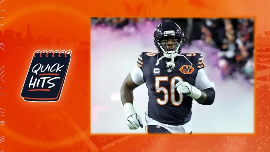 Grady Jarrett: Key Veteran Anchoring Bears Defense