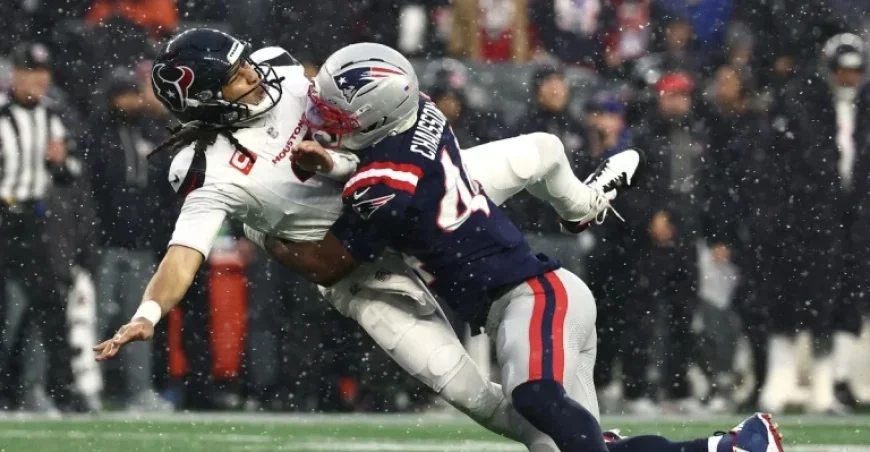 Patriots Triumph 28-16 Over Texans: NFL Divisional Round Analysis