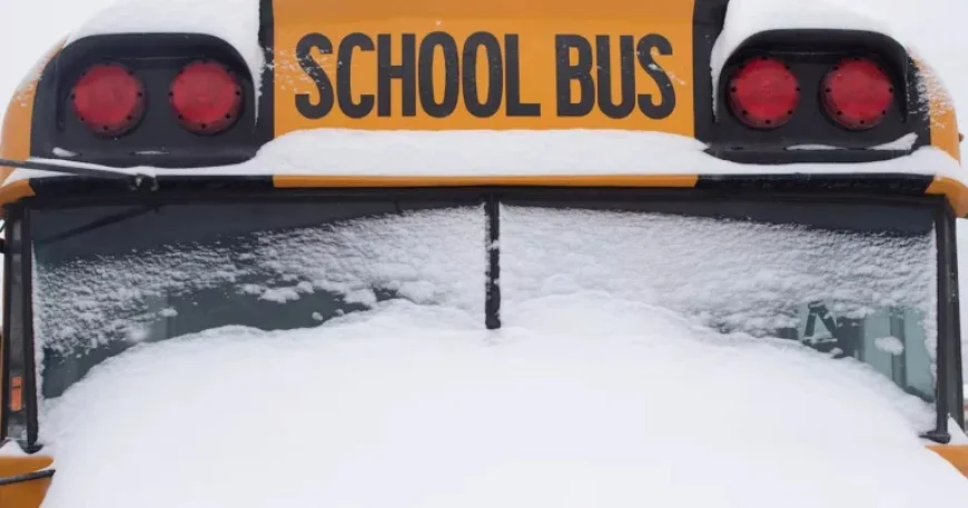 School Bus Services Canceled for Monday, January 19, 2026