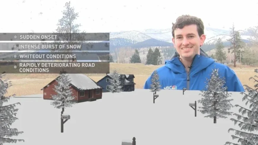 Understanding Snow Squalls and Blizzards: A 3D Weather Guide