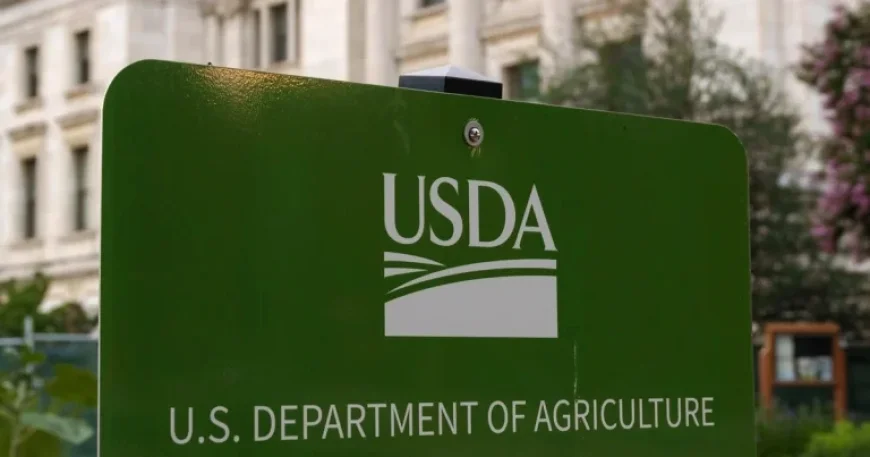 Listeria Risk Prompts Recall of Chicken Sold in 7 States