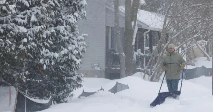 Ontario Faces Blizzard and Snow Squall Warnings