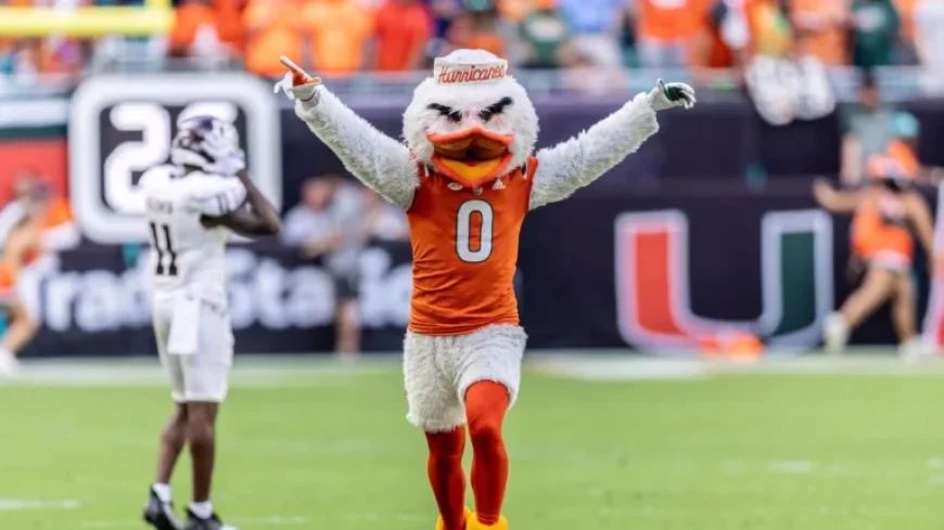 Meet Sebastian the Ibis: Iconic Miami Hurricanes Mascot and UM Traditions