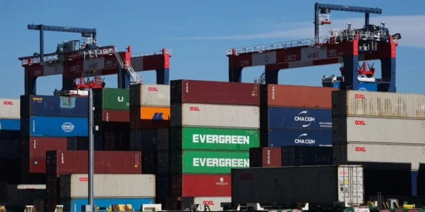 Study Reveals Americans Bear Cost of Trump’s Tariffs