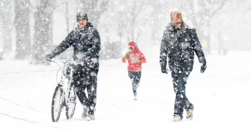 Cold and Snow to Persist Throughout Wintry Week