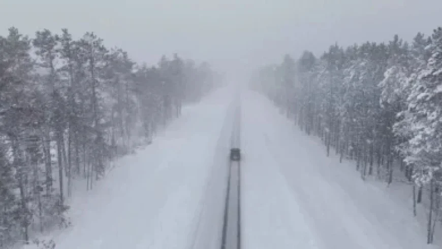 Comparing Nasdaq’s Top Performers with S&P’s Comprehensive Lineup: QQQ vs. RSP