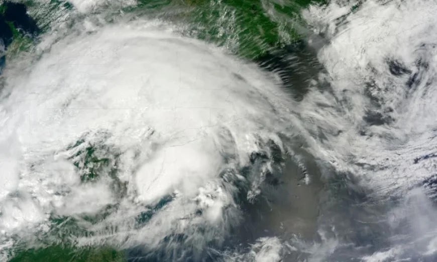 Attribution Science Enhances Grid Resilience Insights