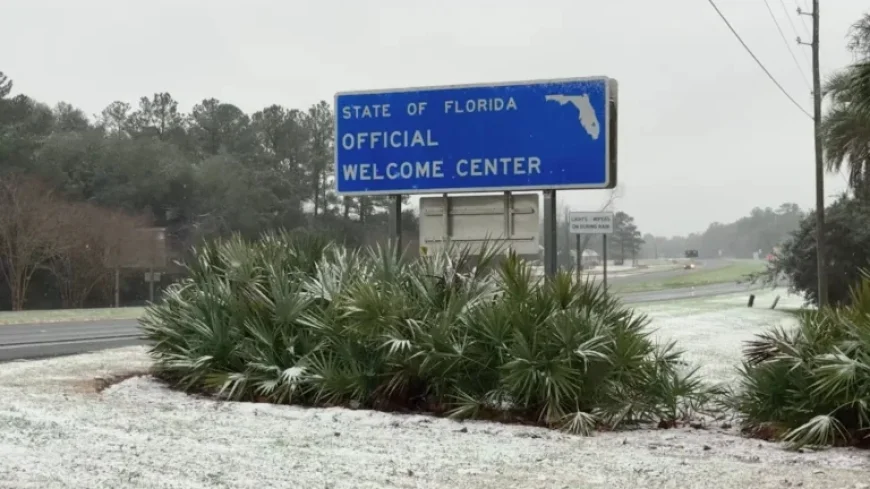 Rare Snowfall Blankets Florida Panhandle, Georgia, and Alabama