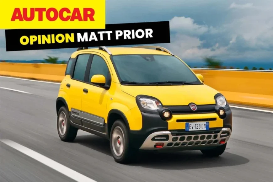 EU E-Car Hype: From 49 Affordable Models to Just One