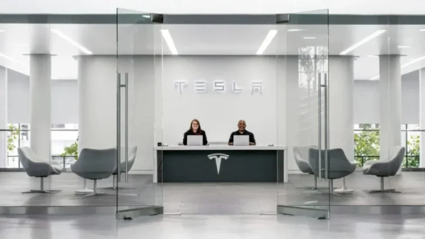 Criteria for Investing in Tesla Stock Revealed