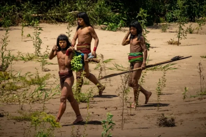 Exploring the Untouched Tribes: Lethal Arrows and Unique Survival Practices