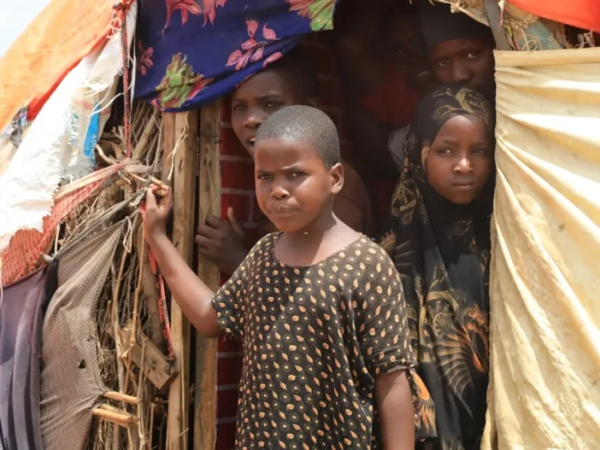 MSF Reports Surge in Malnutrition and Preventable Diseases in Somalia