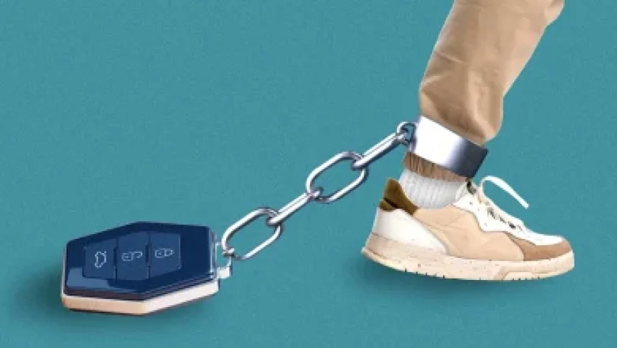 Main Street Economic Strength Boosts American Paychecks