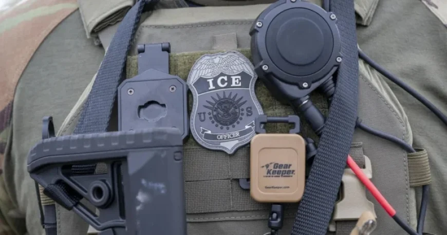 ICE Agent Recovers After Slipping on Ice During Colorado Operation, Sheriff Reports