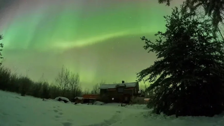 Northern Lights Dazzle in Yukon Timelapse Video