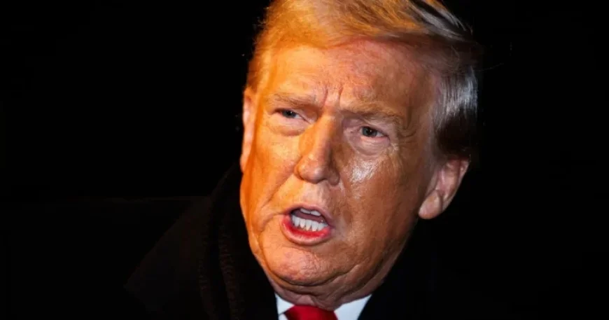 Trump Defends Attempt to Invoke Insurrection Act