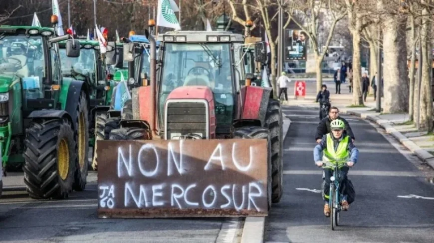 Concerns Rise Over EU-Mercosur Trade Deal Approval