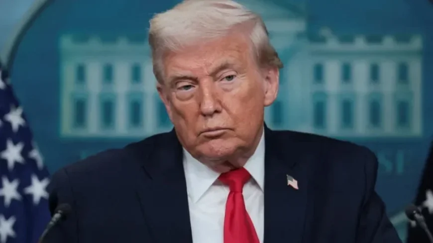 Amnesty Warns of Human Rights Crisis One Year into Trump Presidency