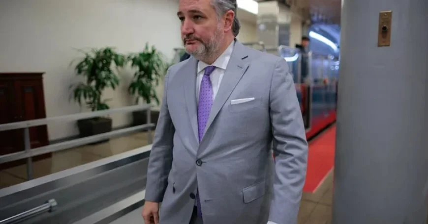 Ted Cruz Flies to Laguna Beach Before Texas Winter Storm Hits