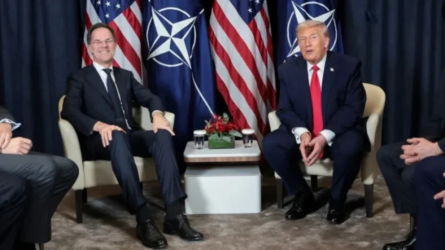 Trump Halts ‘Greenland Tariffs’ After Meeting with NATO Chief Rutte